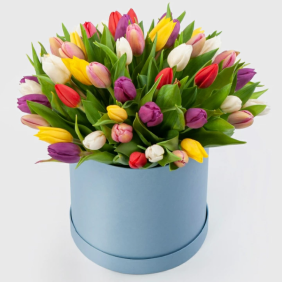 product-nav-img