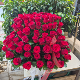  Çiçek Siparişi Alanya 