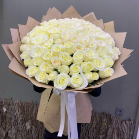  75 White Roses